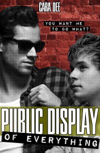 Public Display of Everything Cover